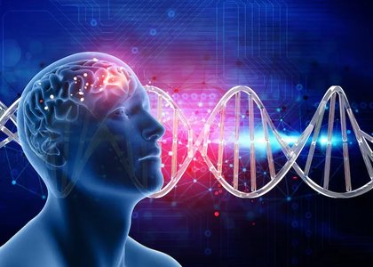 Memory and Neuro Health at Health Work Zenith